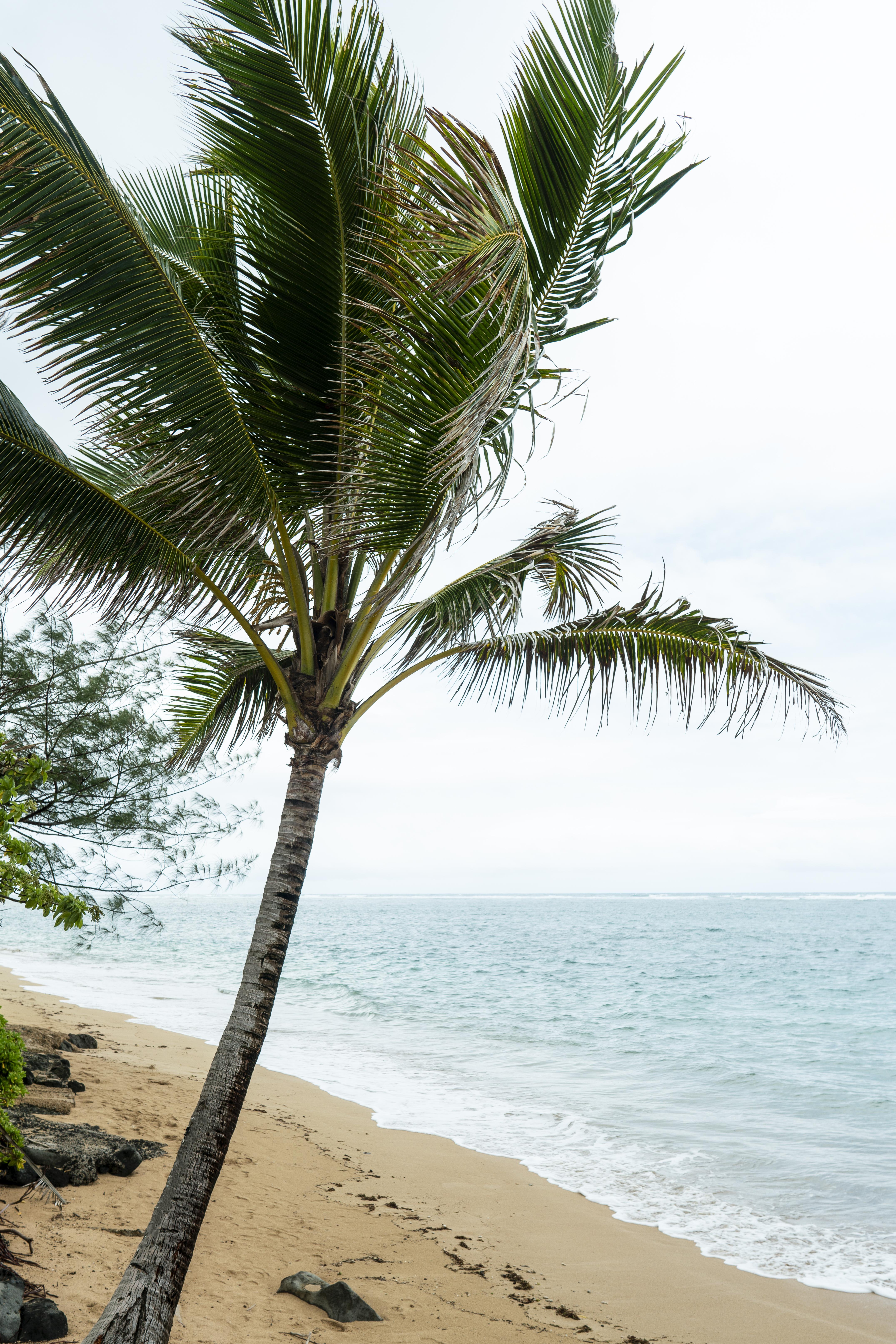 Alibag beach landscape
